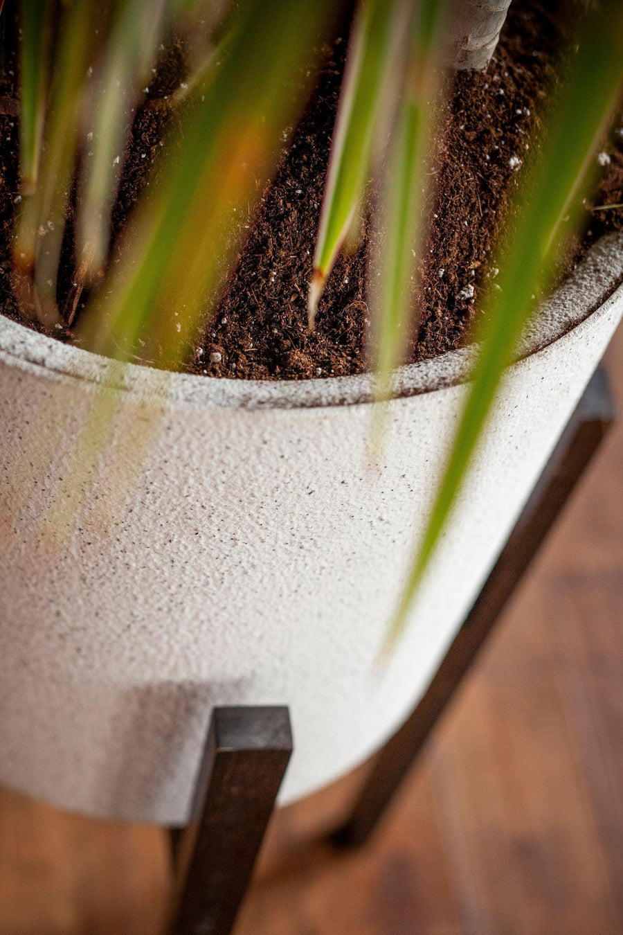 Vaxa Mid-Century Modern Self-Watering Planter