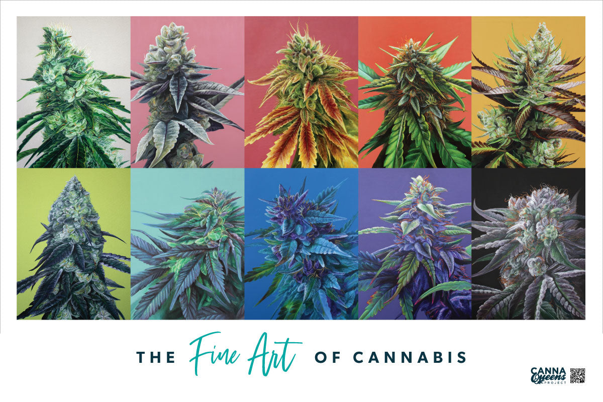 Cannabis Strain Art Collection Poster – 36x24" Featuring 10 Strains