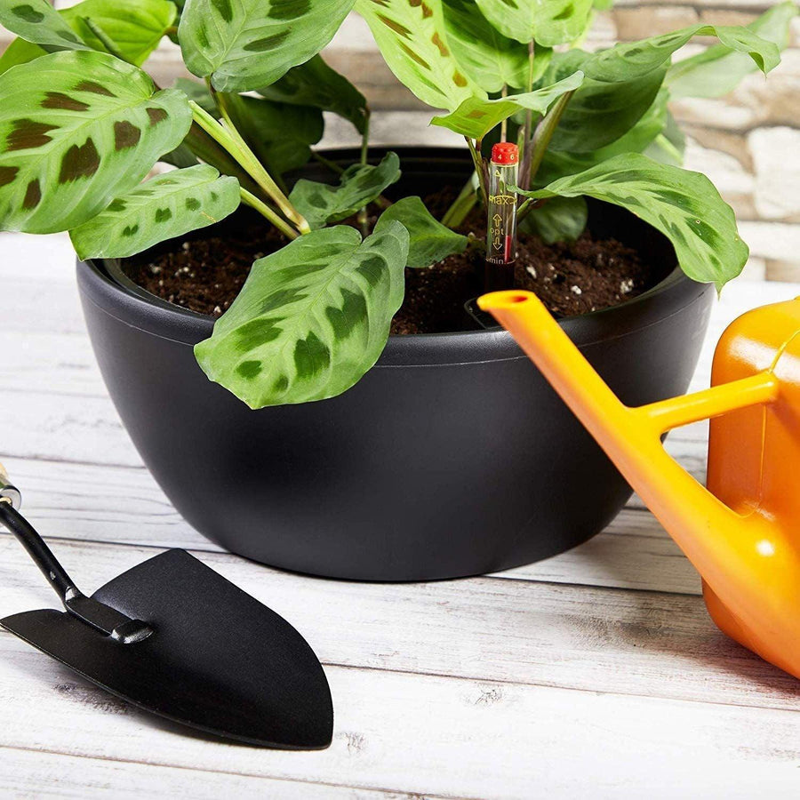 10" Self Watering Pot Planter for Indoor/Outdoor Plants, Black