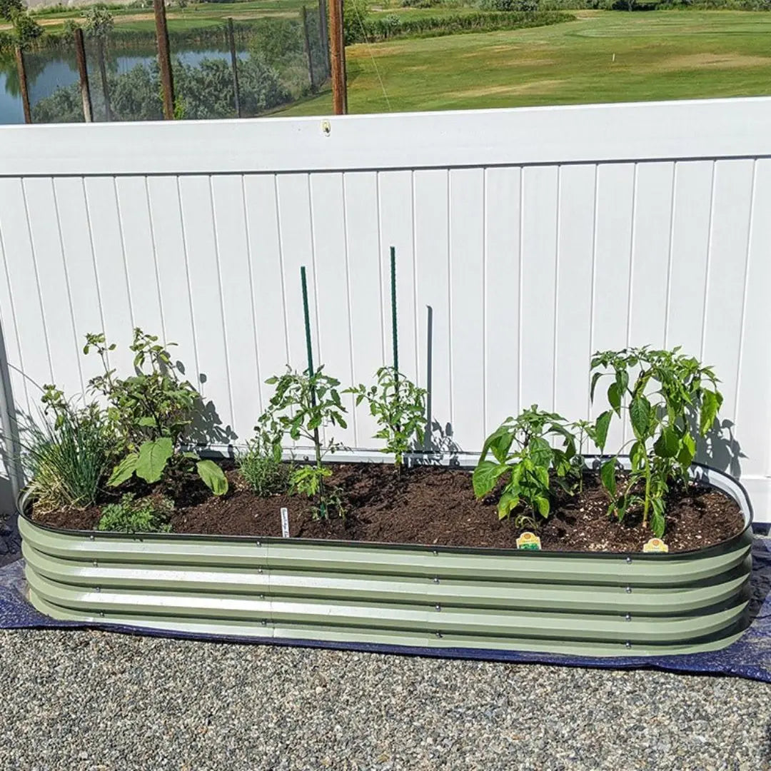 Vegega 11'' Tall 6.5x2 Galvanized Raised Flower Bed (6 in 1) v2.0