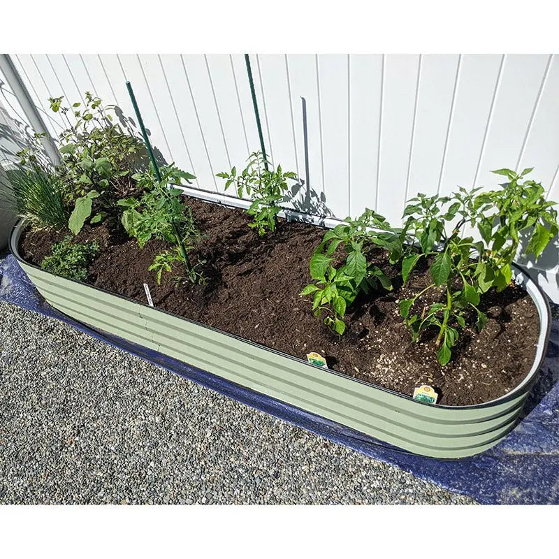 Vegega 11'' Tall 6.5x2 Galvanized Raised Flower Bed (6 in 1) v2.0