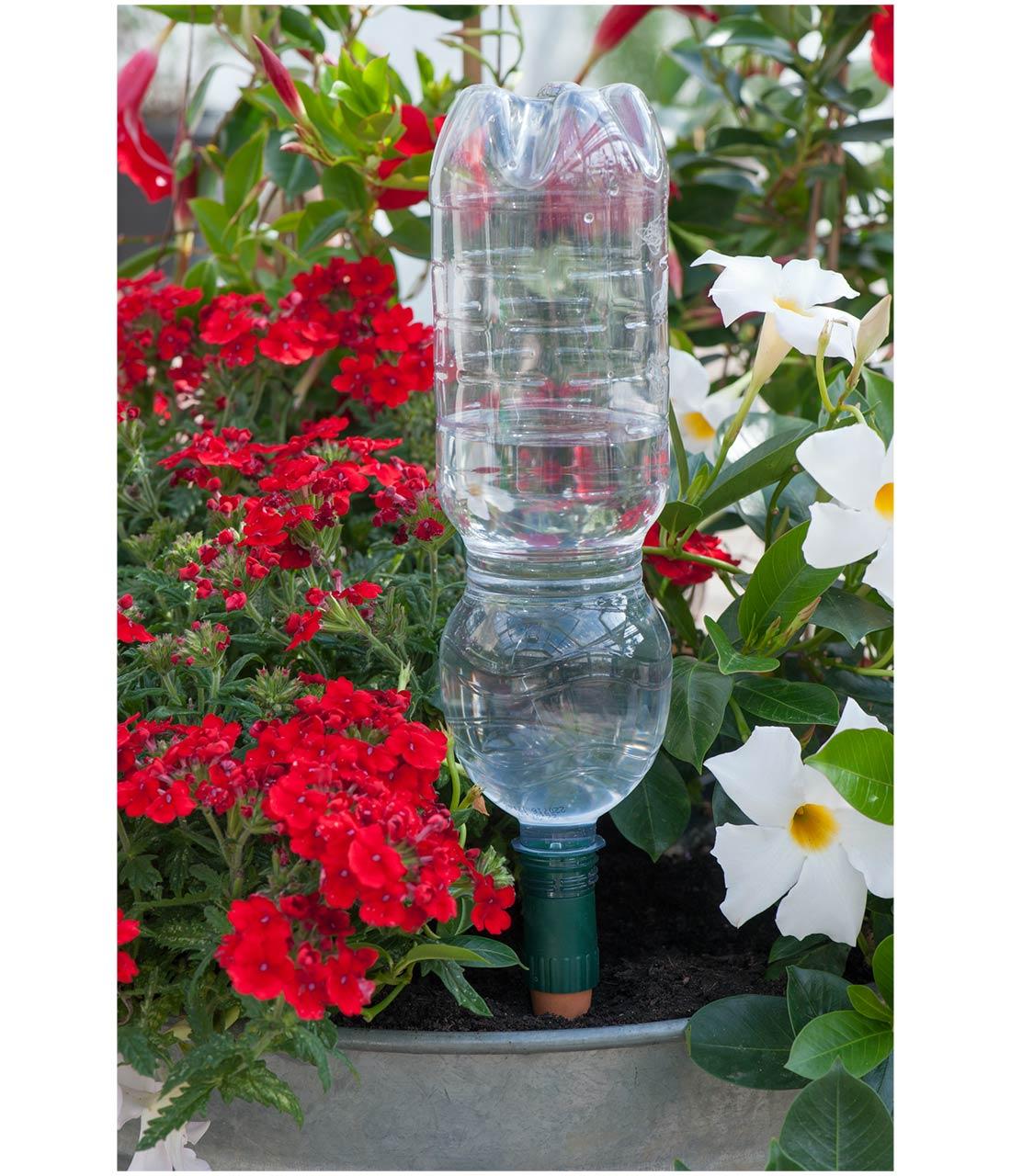 Blumat Easy + Bottle Adapter – Automatic Plant Watering Stake