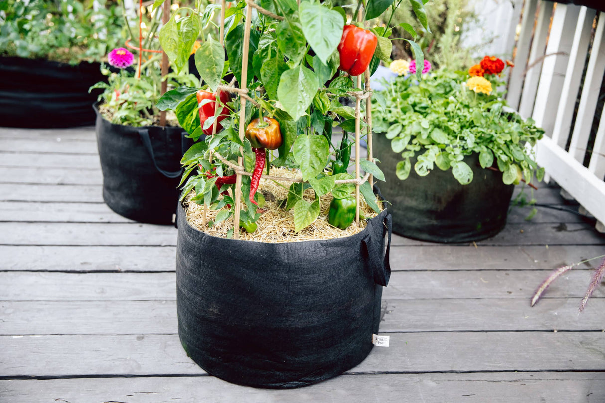 Smart Pot 15 Gallon Vegetable Planters – 3 Pack Fabric Grow Bags with Handles