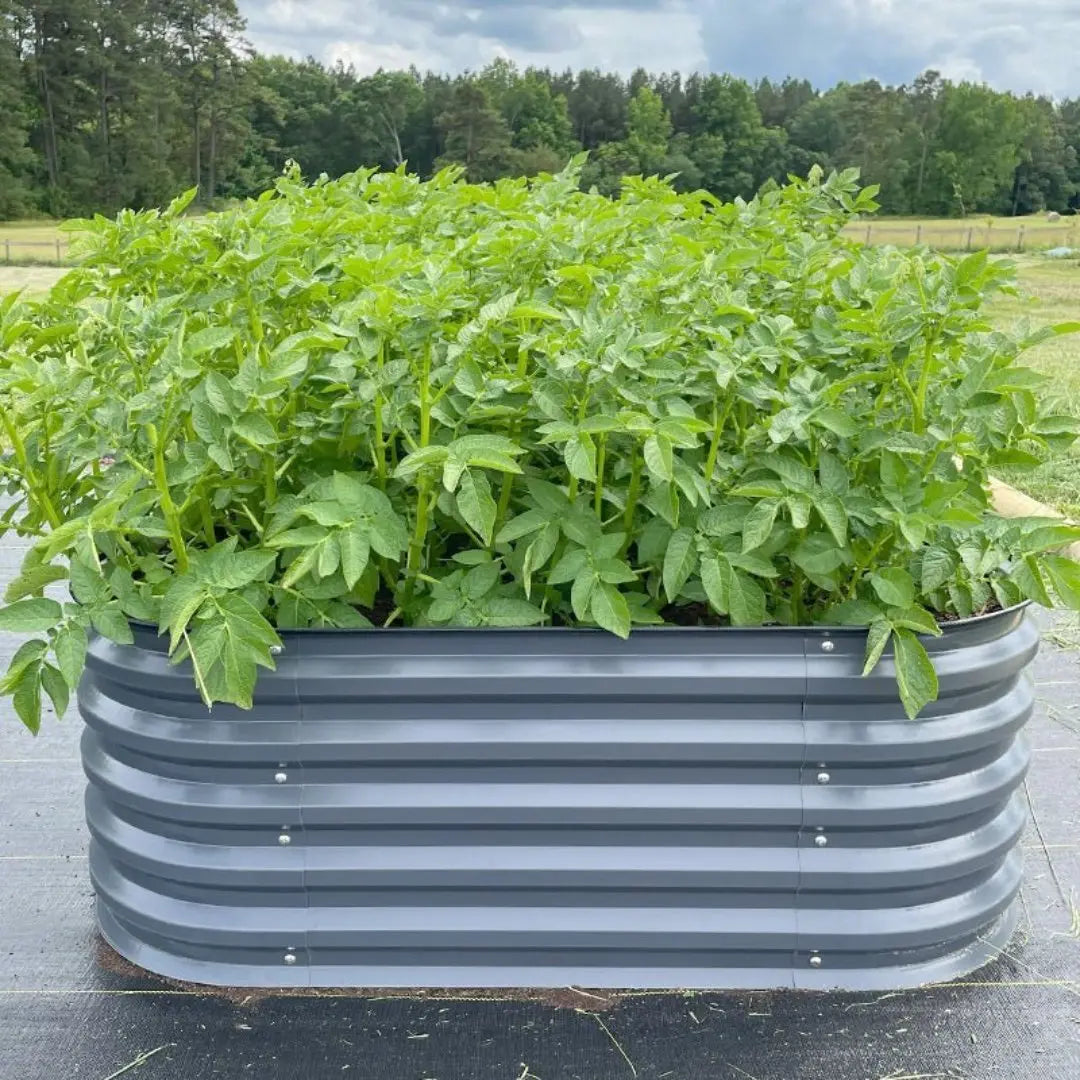 Vegega 17" Tall 3.5x2 Corrugated Raised Garden Bed (2-in-1) v2.0