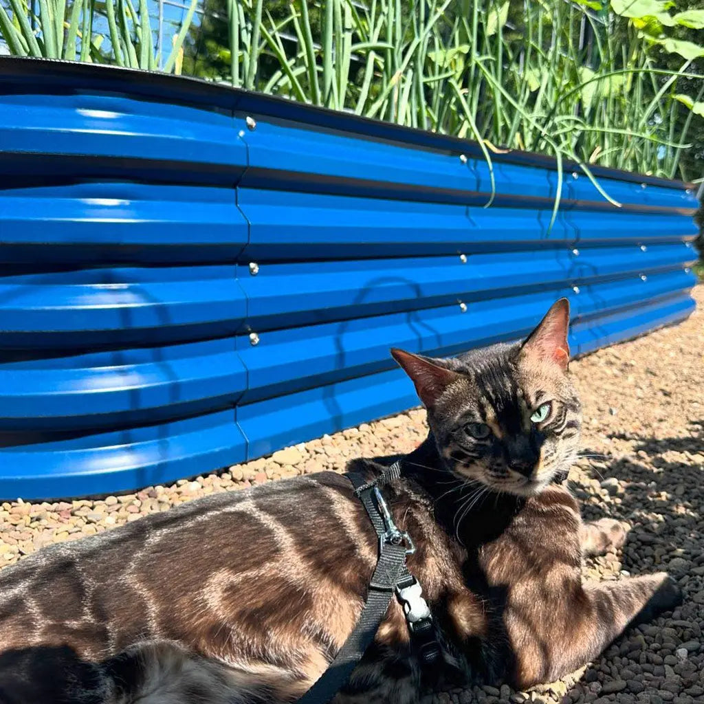 Vegega 17'' Tall 8x2 Metal Raised Garden Beds (9 in 1) v2.0