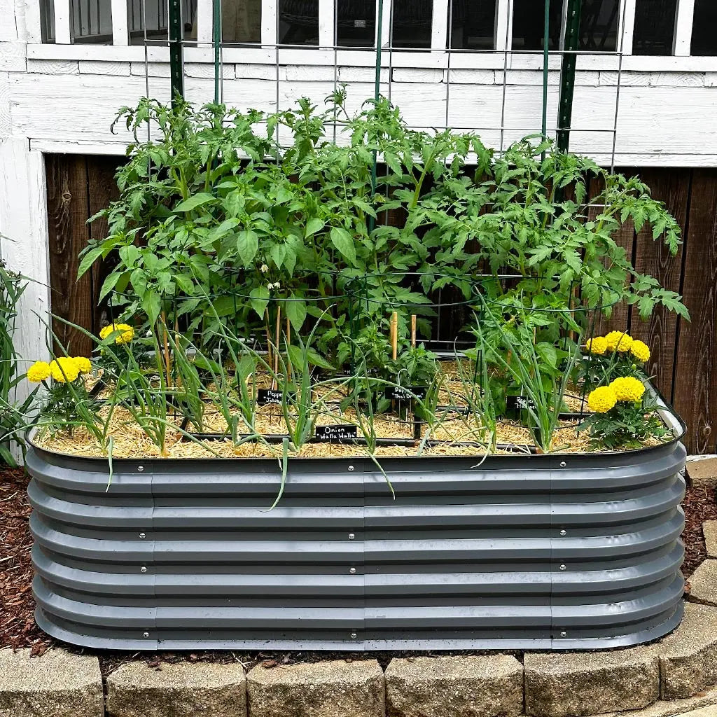Vegega 17'' Tall 8x2 Metal Raised Garden Beds (9 in 1) v2.0