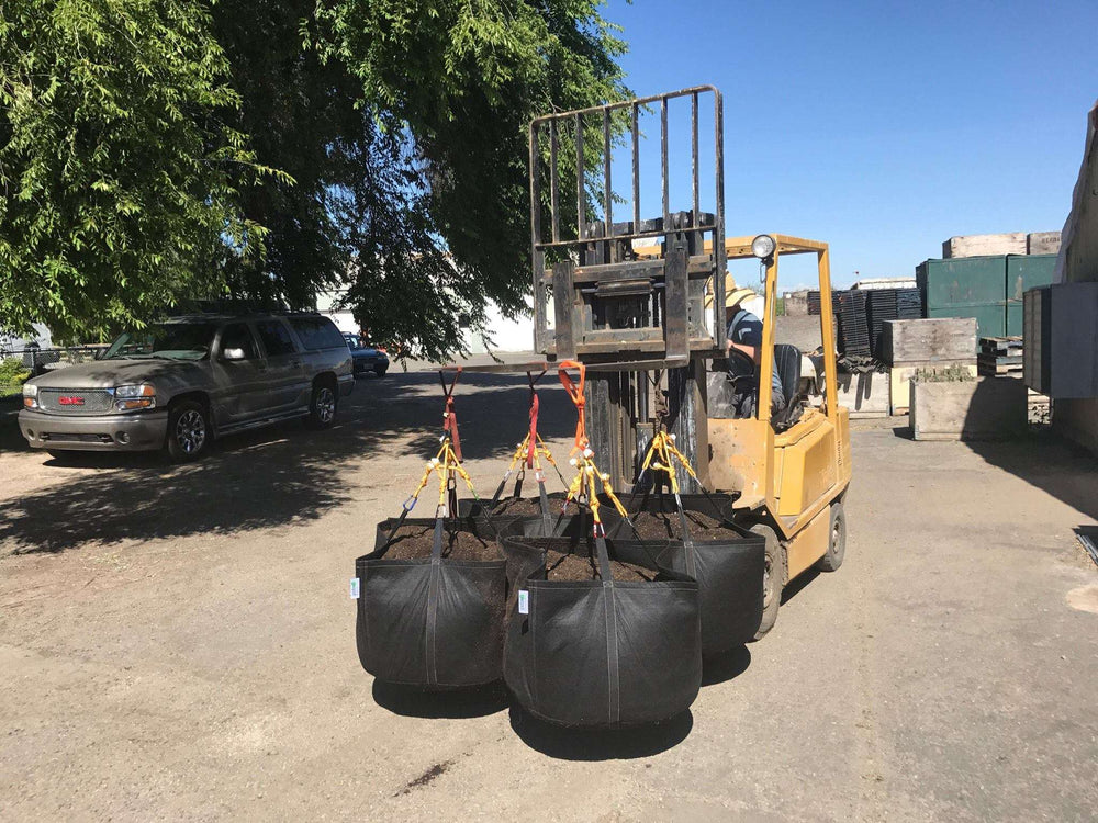 GeoPot Fabric Grow Bags with Handles - Black