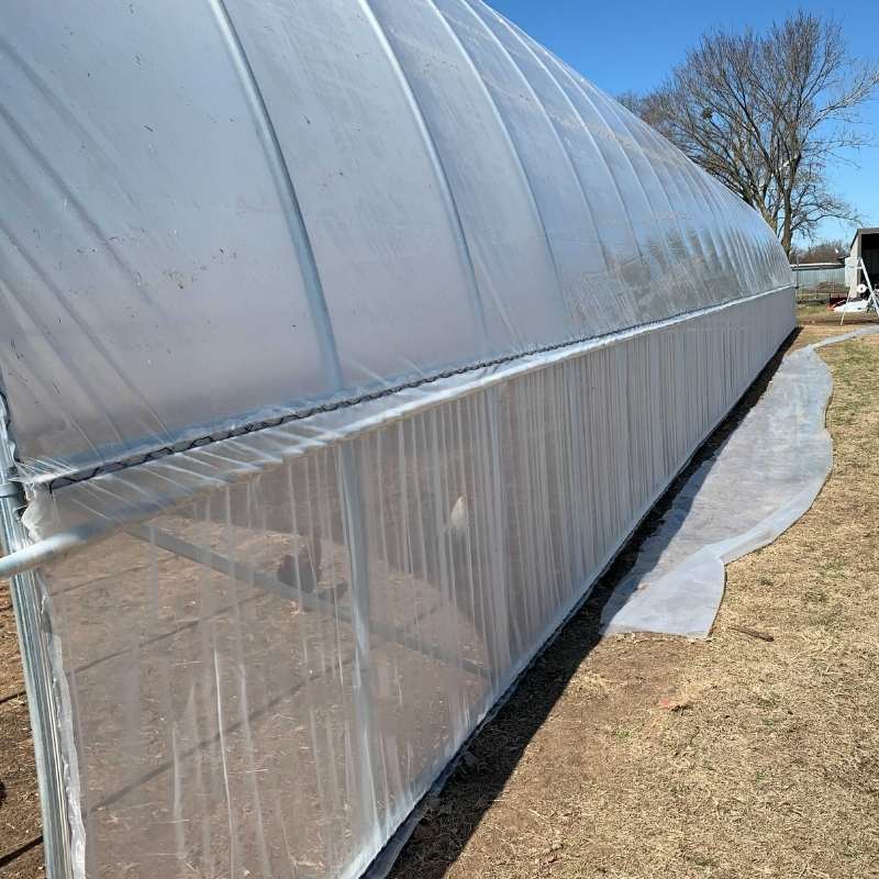 Sidewall Insect Netting