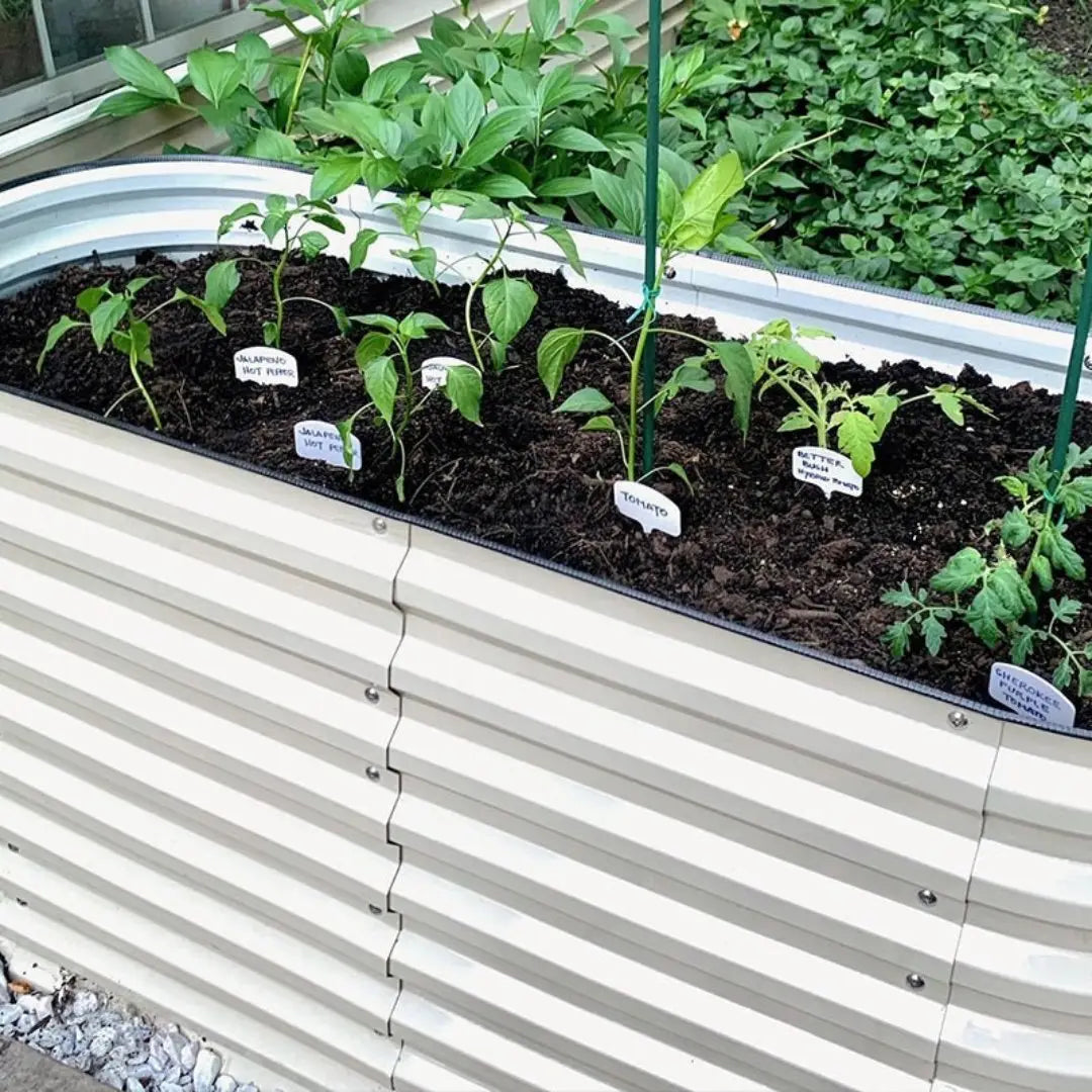 Vegega 32'' Tall 5x2 Galvanized Flower Bed (4 in 1) v2.0