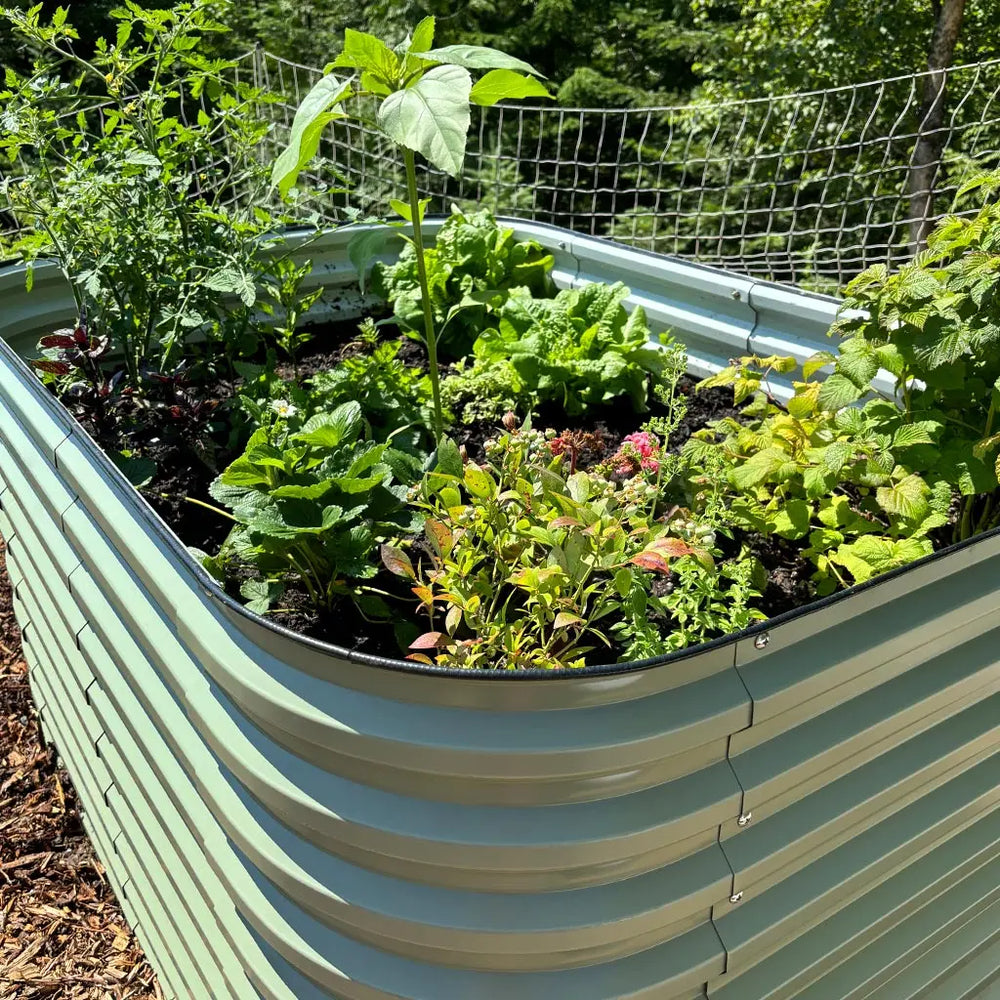 Vegega 32'' Tall 6.5x2 Raised Garden Bed (6 in 1) - v2.0
