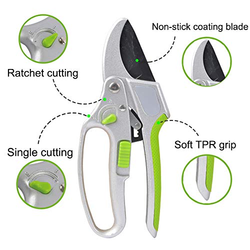 Garden Guru 2-in-1 Garden Ratchet Pruning Shears Clippers