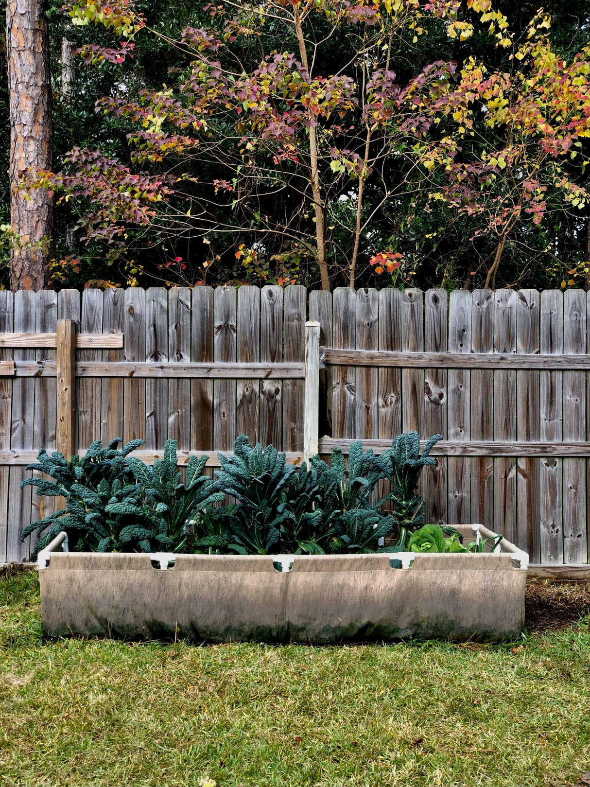 Smart Pot Urban Raised Bed Garden – Fabric Planter
