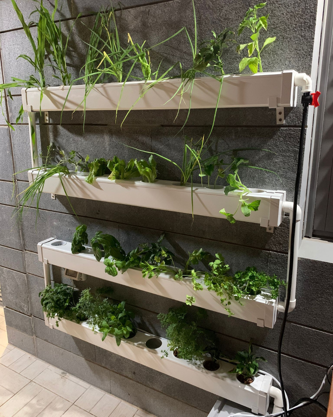 Wally 32 - Fixed Wall Hydroponic Gardening System
