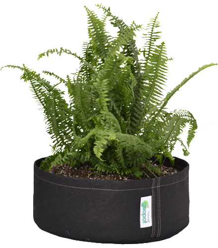 SquatPot Grow Bags - Round Bottom