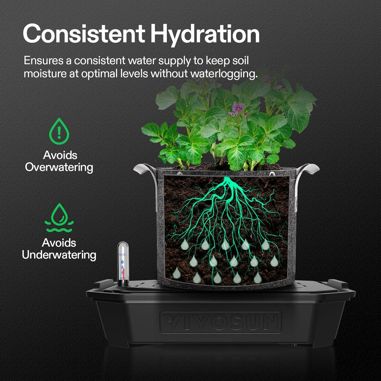 FlexFeed Self-Watering Saucer with Water Meter & Mainenance Window, Pack of 4