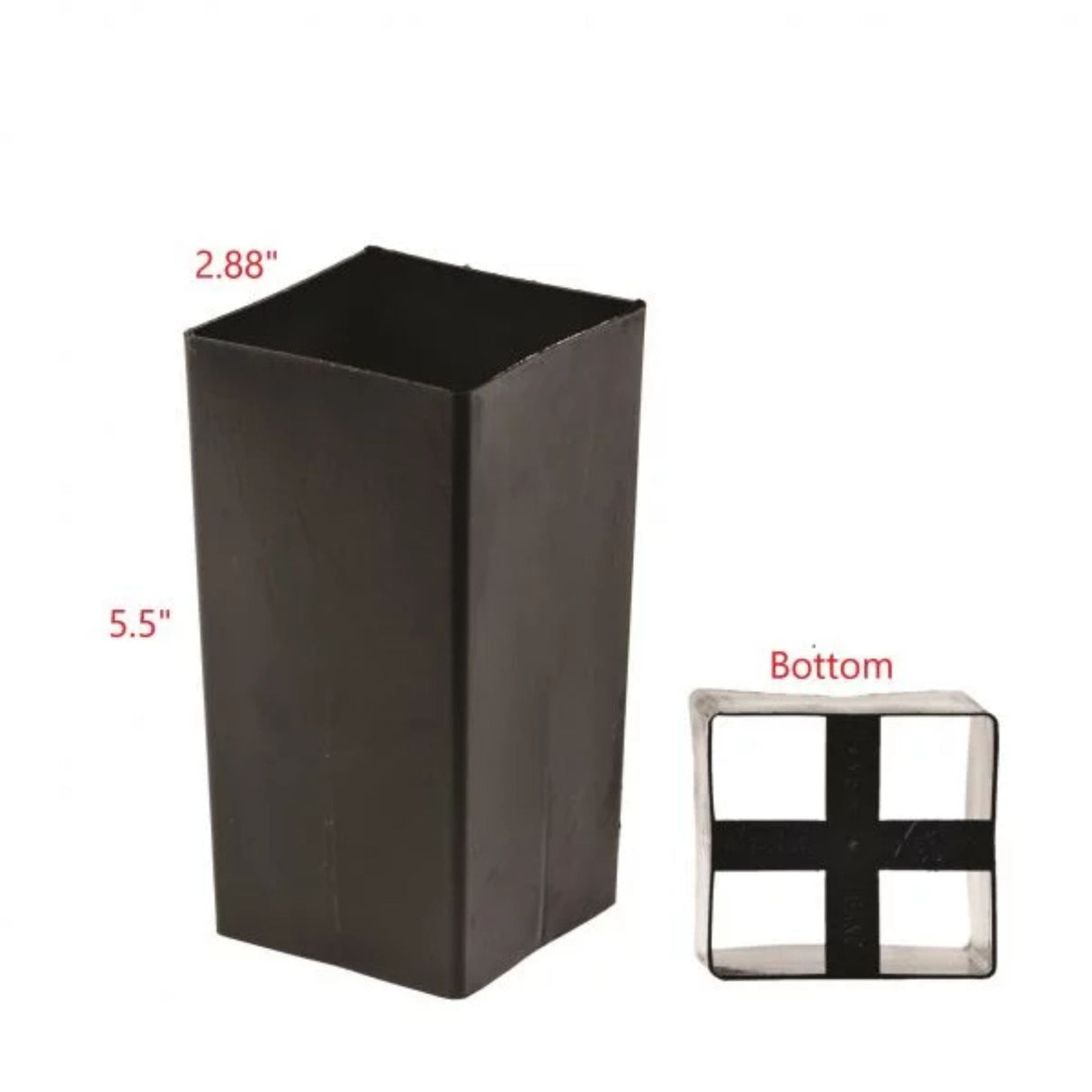 Peking Lilac 'Syringa reticulata subsp. pekinensis' Shrub