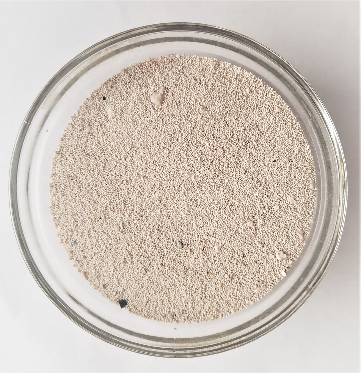 Aragonite / Oyster Shell Flour – Coral Calcium Soil Amendment