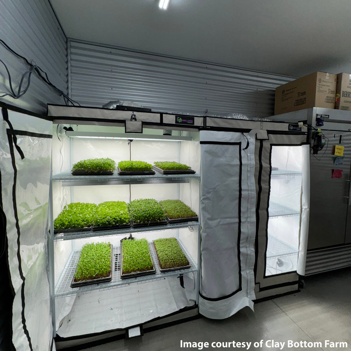 3-Tier Walden White Grow Tent