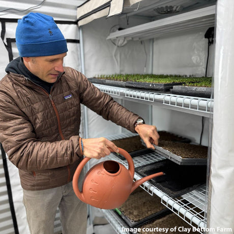 Man watering seedlings in a greenhouse with a watering can.