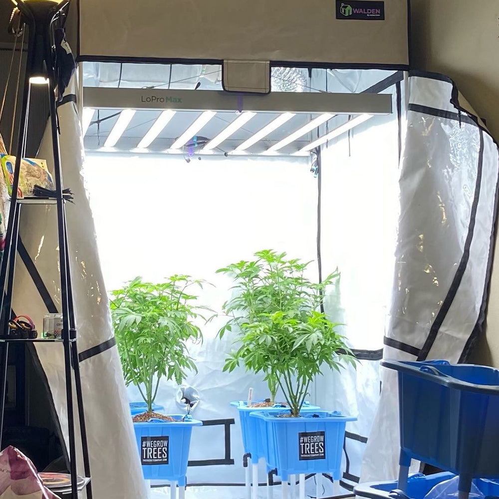 2′x4′ Walden White Grow Tent