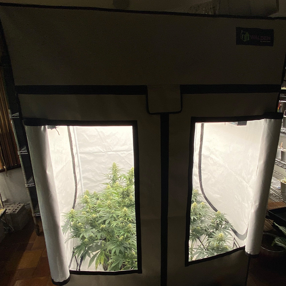 2′x4′ Walden White Grow Tent