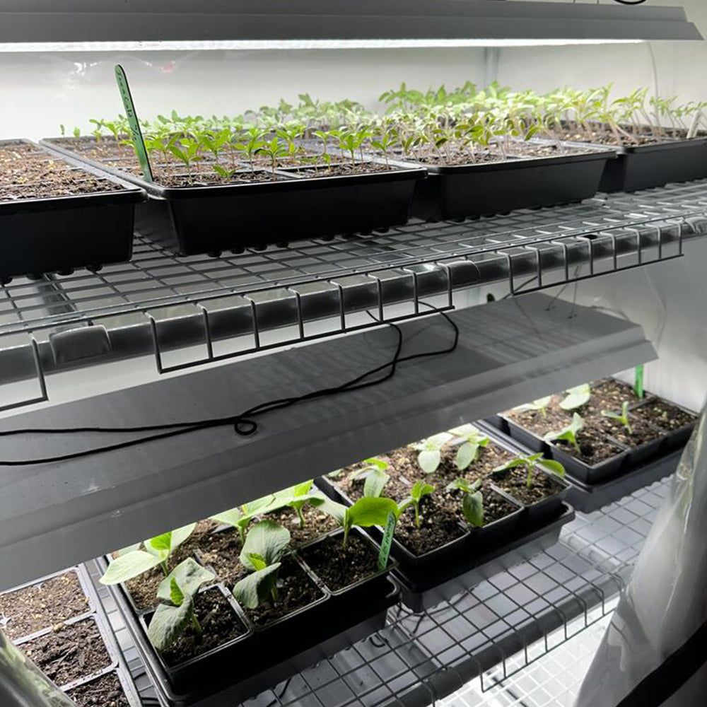 Greens & Veggies 3-Tier Walden White LED Grow Tent Kit