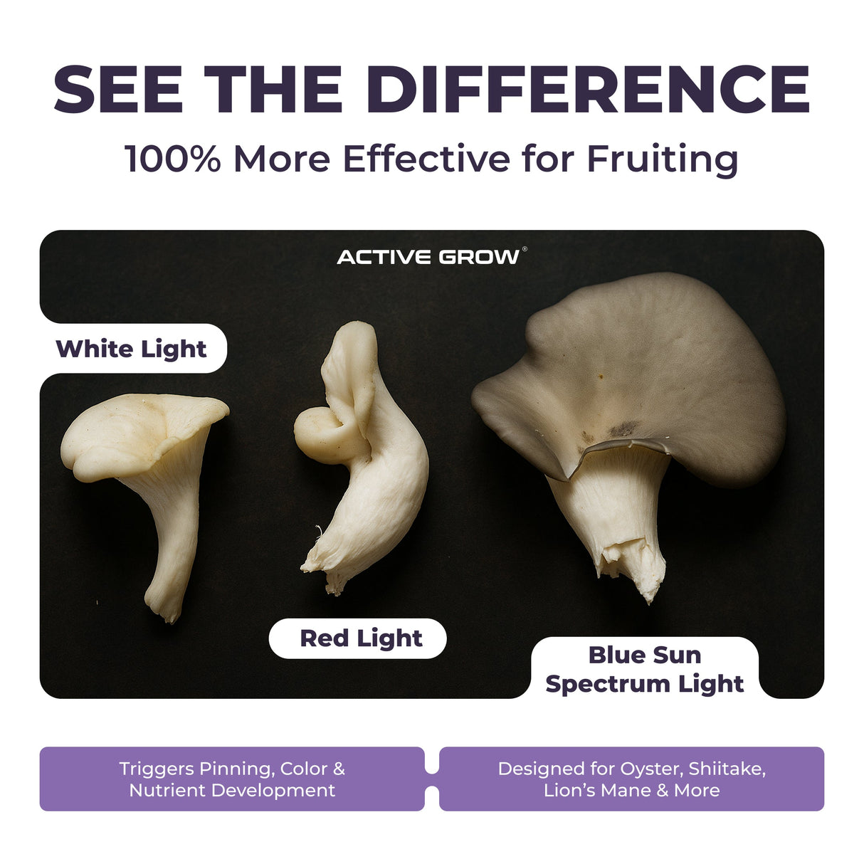 T5 HO Ballast Bypass 4FT LED Mushroom Grow Lamp (54W Eqv.) – Blue Sun Spectrum