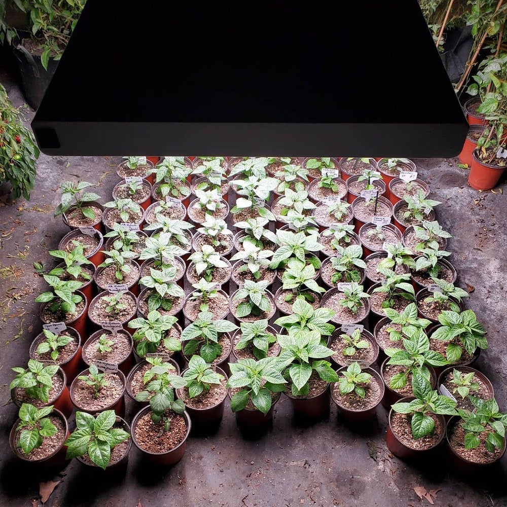 T5 HO 4FT 8 Lamp LED Grow Light (432W Eqv.) - Sun White Pro Spectrum