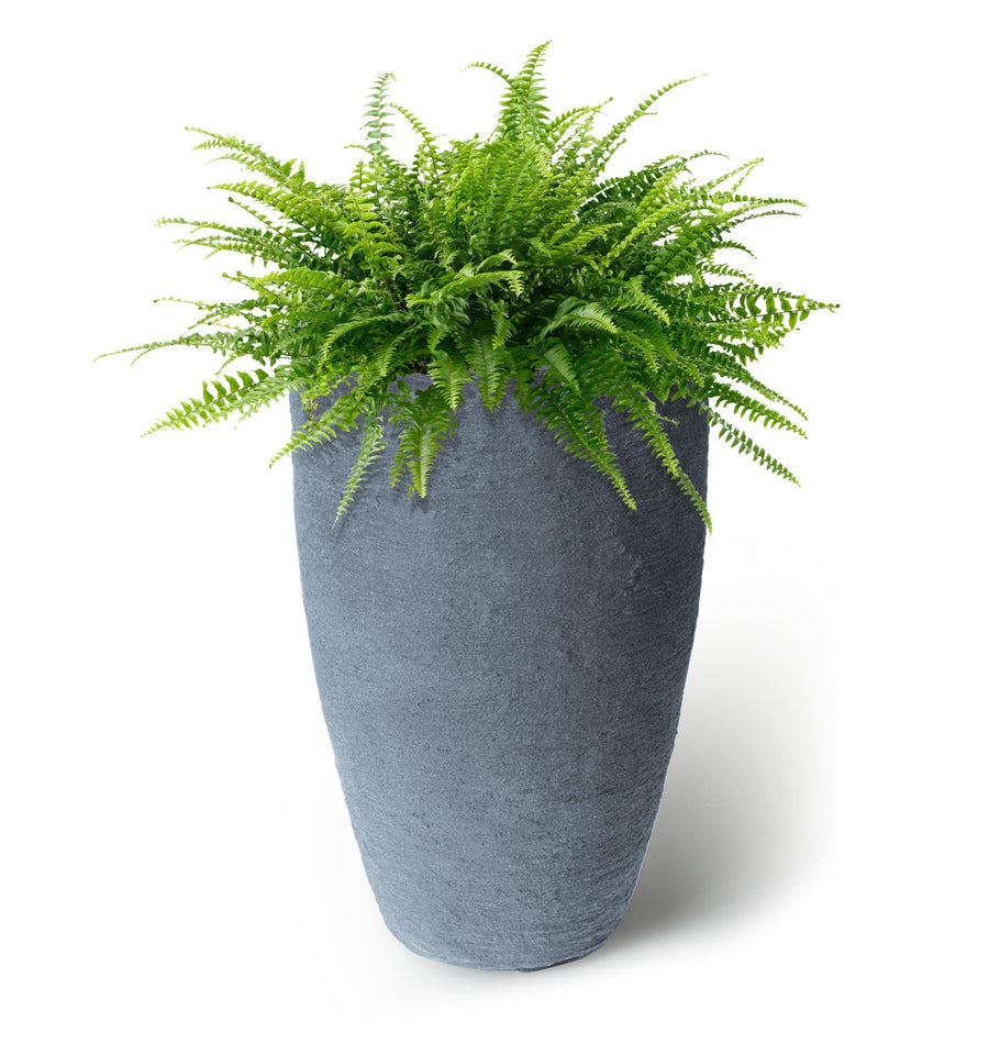 Algreen Athena Planter, 20" Tall by 12.6", Self-Watering Planter, Charcoalstone