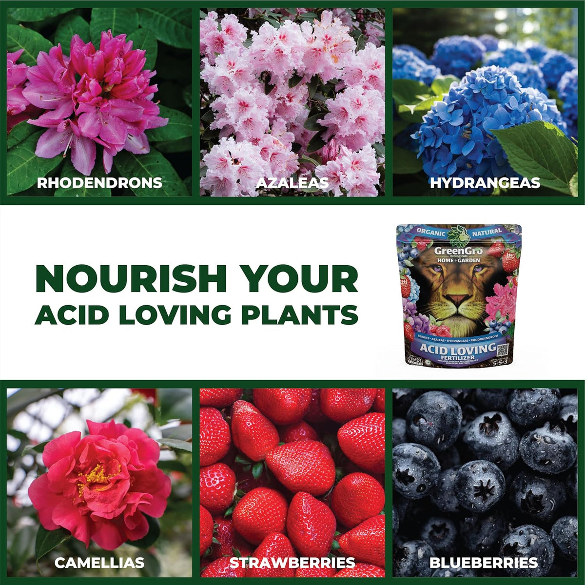 A promotional collage for GreenGro Acid Loving Plants, featuring photos of rhododendrons, azaleas, hydrangeas, camellias, strawberries, and blueberries around the text 'NOURISH YOUR ACID LOVING PLANTS' and a pouch of the plant food. The product packaging shows a lion graphic and the brand GreenGro.