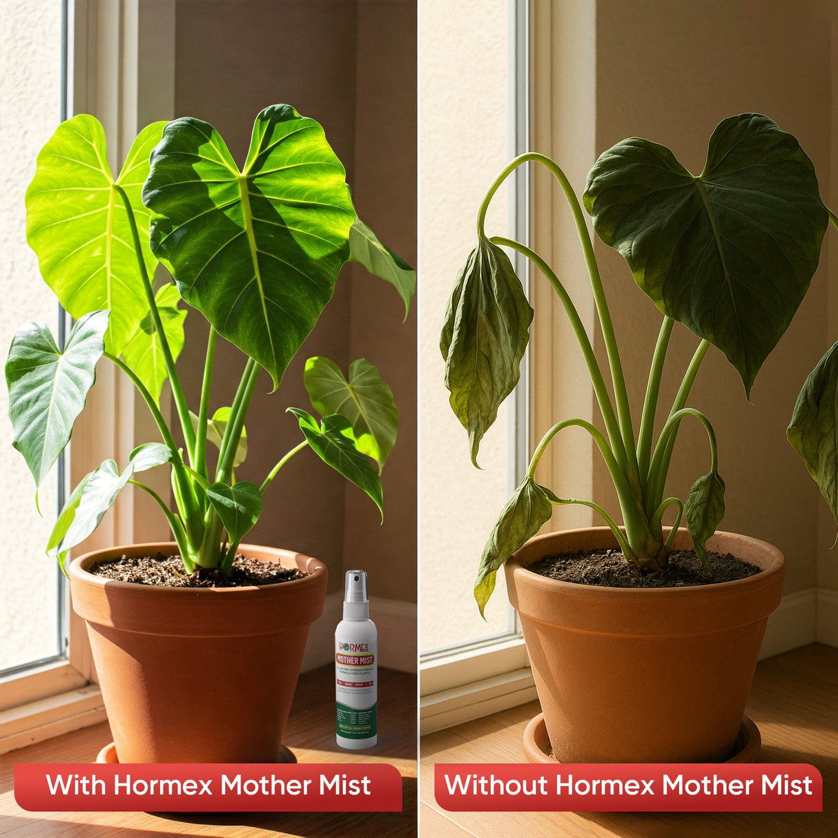 Hormex Mother Mist – Cal-Mag-Iron + B1 Plant Spray for Cloning & Growth