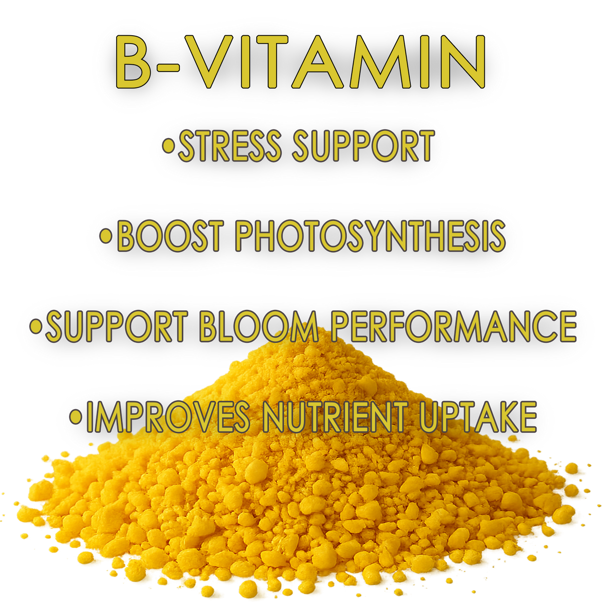 RAW B-Vitamin | Vitamin B1 + Magnesium Water-Soluble Plant Supplement