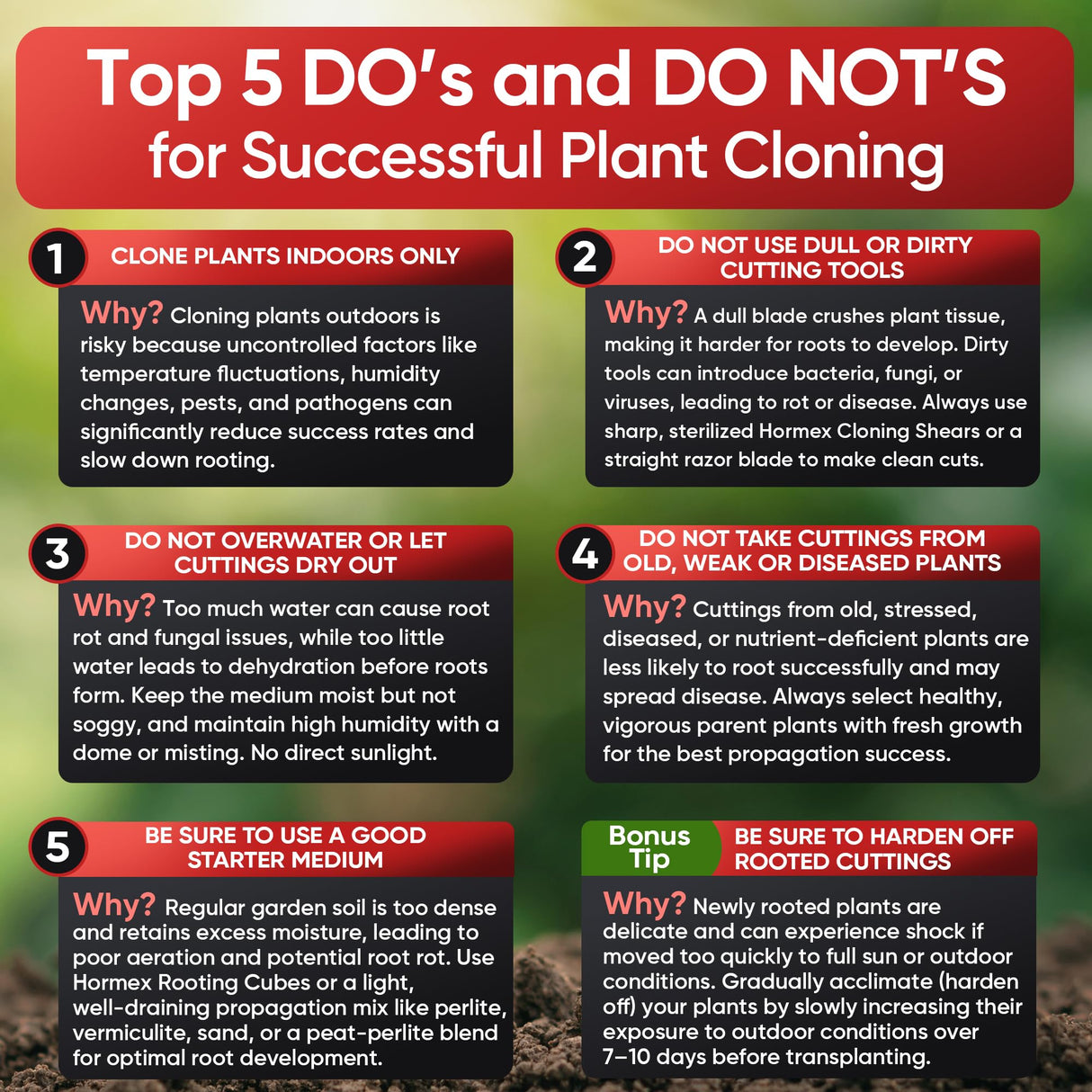 Hormex Rooting Cubes – Coco & Peat Starter Plugs for Cloning & Seeds