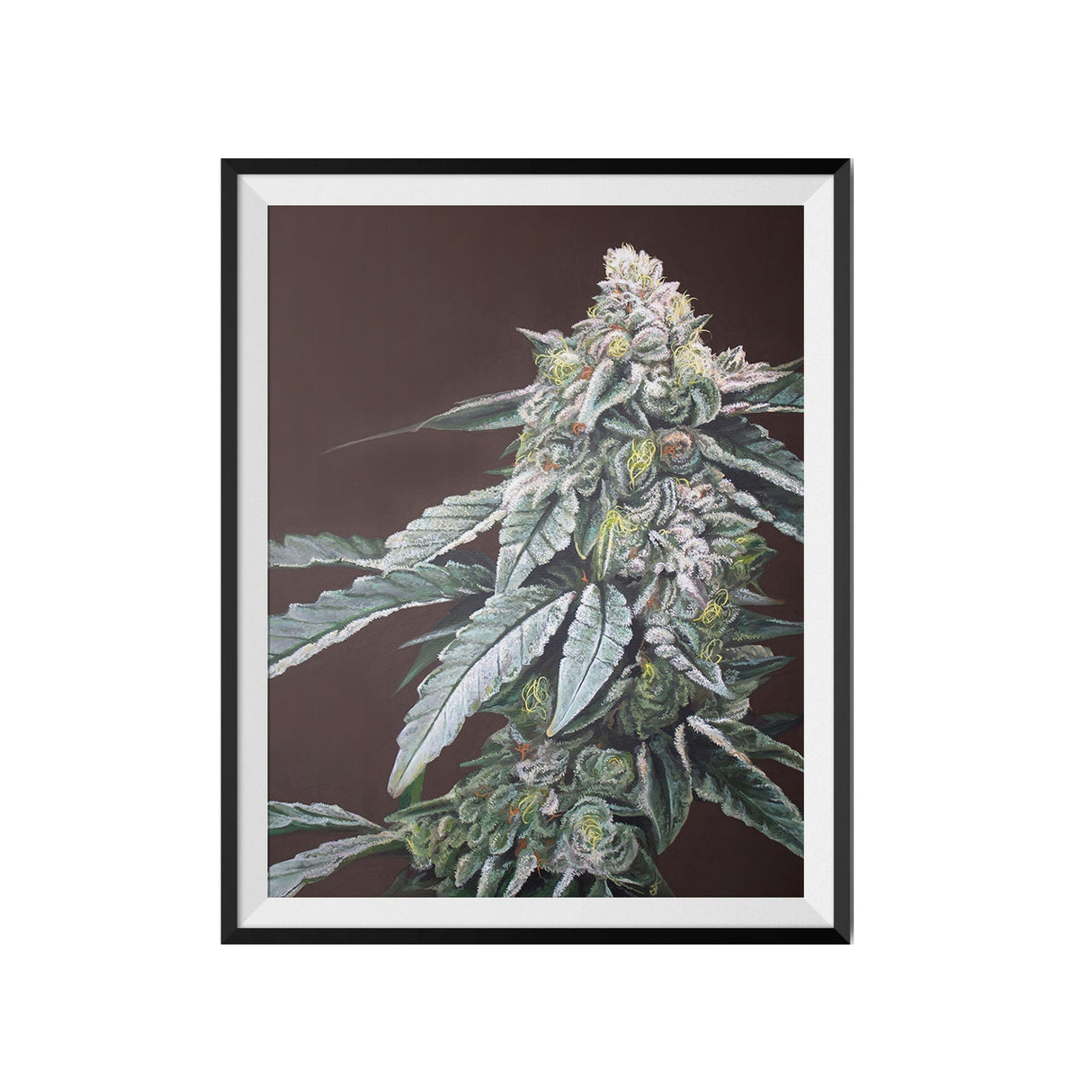 Boston Cream Pie Cannabis Strain Art Poster – 18x24" Matte Print