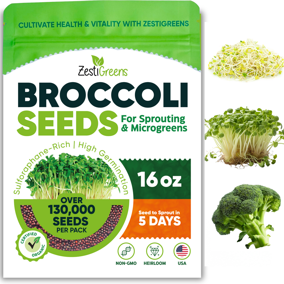 ZestiGreens Organic Broccoli Seeds – Sprouts & Microgreens