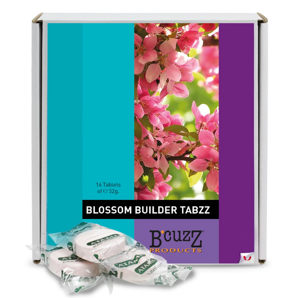 Atami B'Cuzz Blossom Builder Tabzz, box of 18 Tabzz
