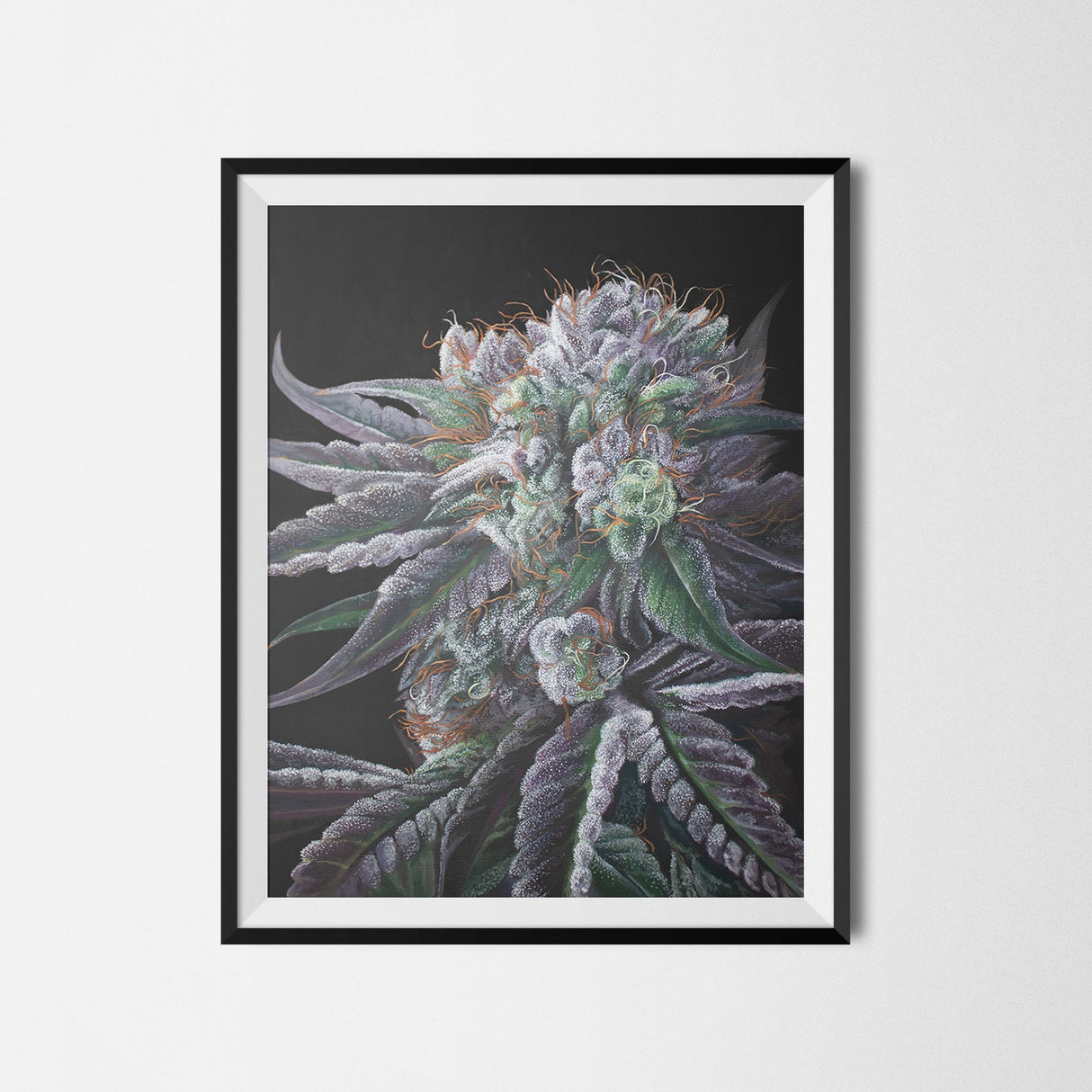 Black Afghan Indica Cannabis Strain Art Poster – 18x24" Matte Print