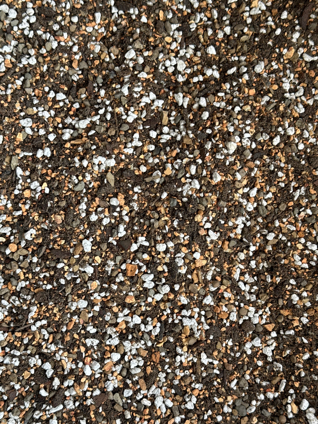 Cactus & Succulent Soil - Fine Mix