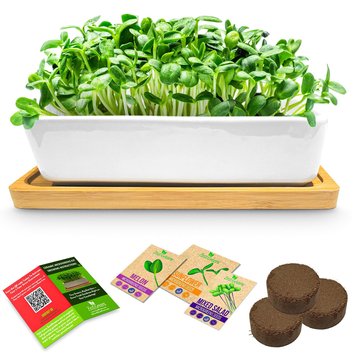 ZestiGreens Ceramic Microgreens Growing Kit – Sunflower, Melon & Mixed Seeds