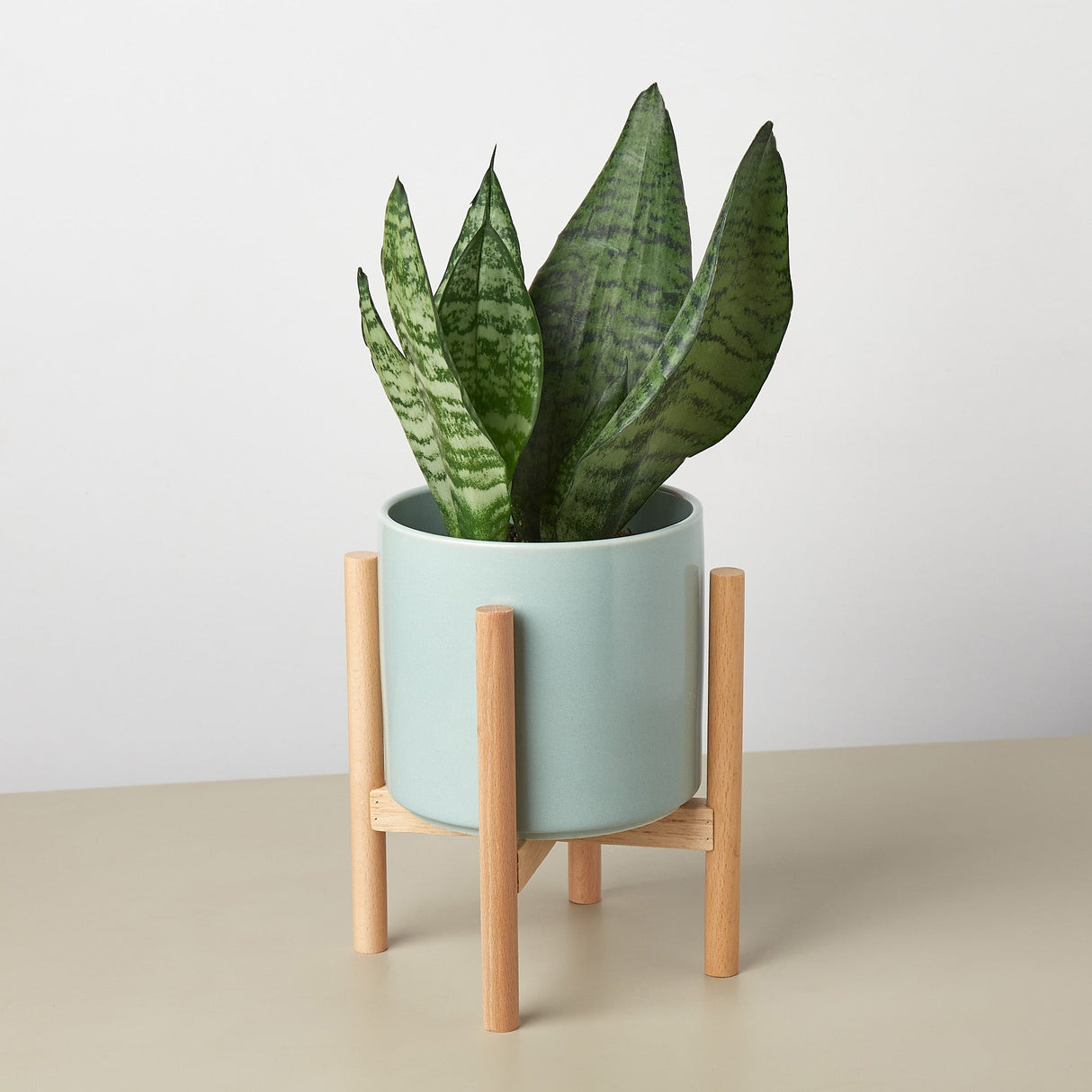 Ceramic Cylinder Planter with Wood Stand – 5 Inch