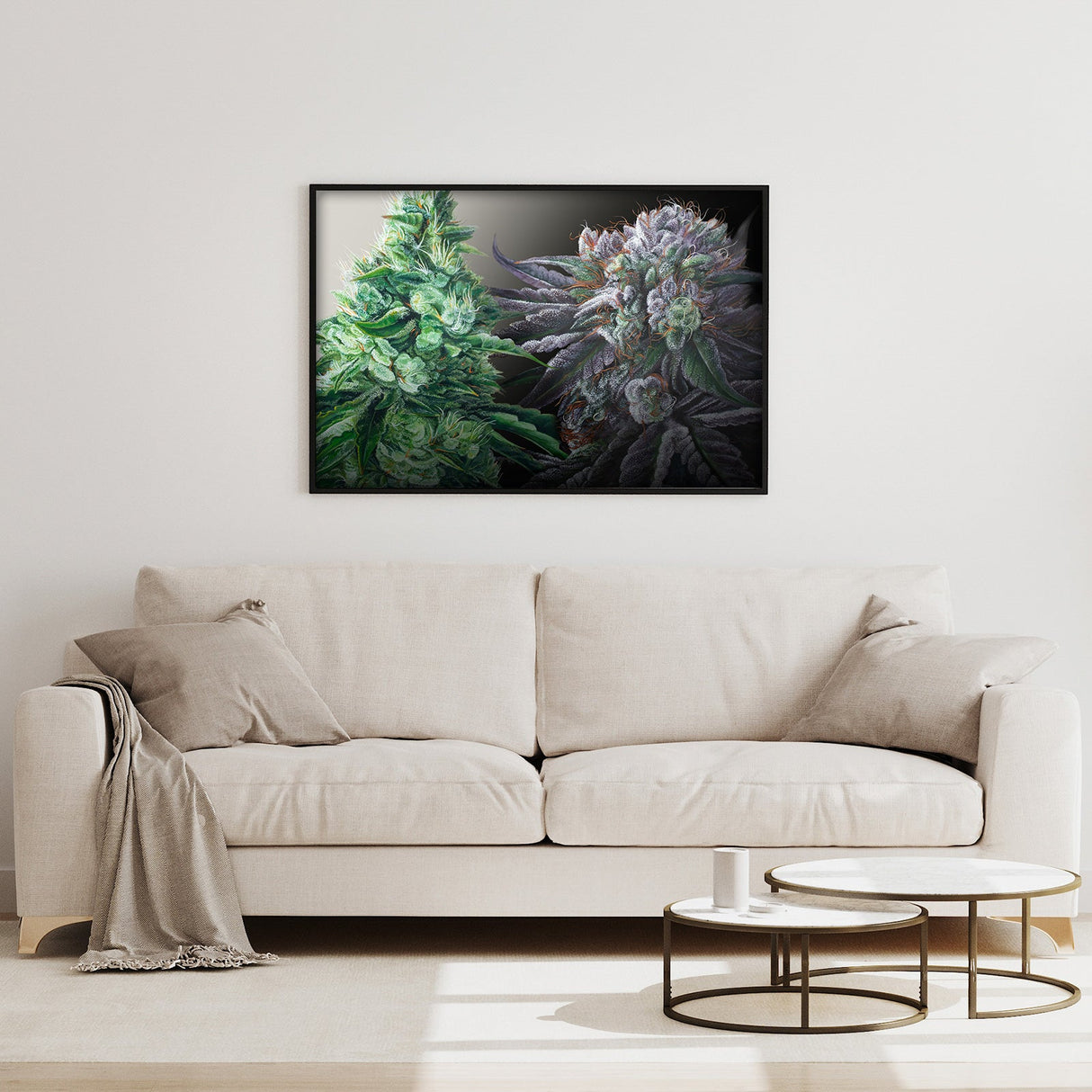 Day & Night Cannabis Strain Art Poster – White Durban & Black Afghan - 36" x 24"