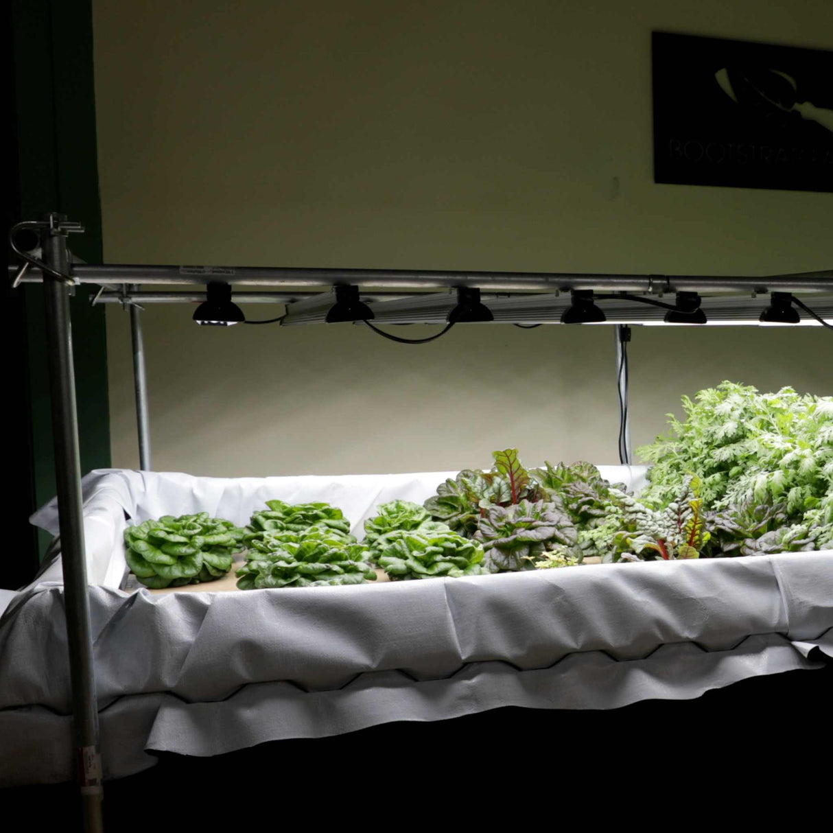 Deep Water Culture (DWC) Kit