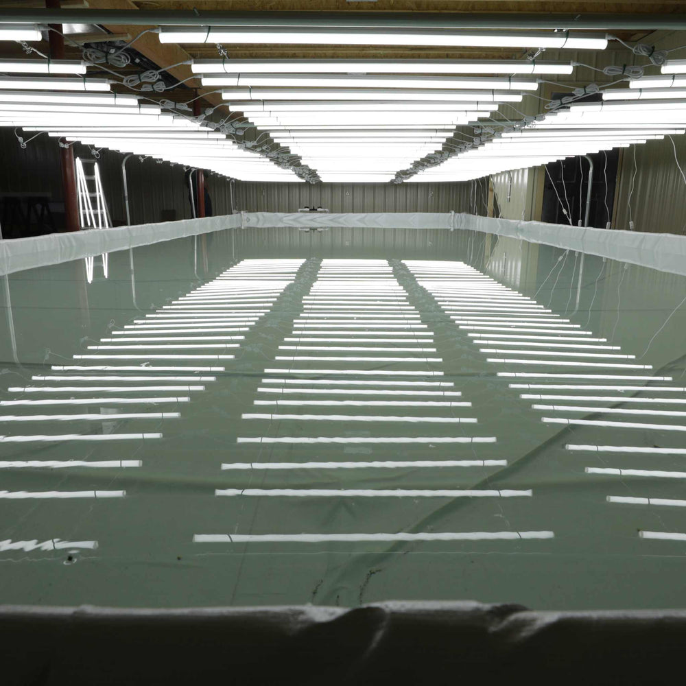 Deep Water Culture (DWC) Kit