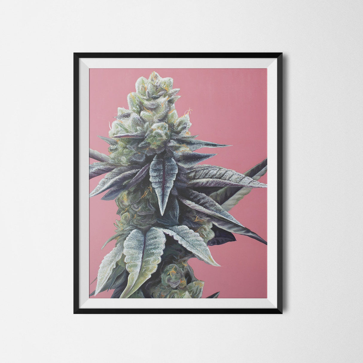 Dosidos Cannabis Strain Art Poster – 18x24" Matte Print