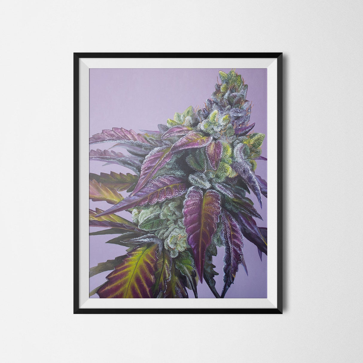 Dream Factory Cannabis Strain Art Poster – 18x24" Matte Print