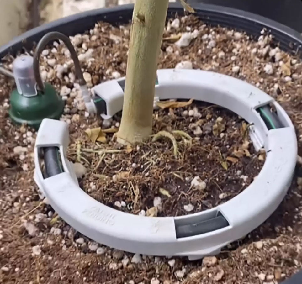 Blumat Irrigation for Pots