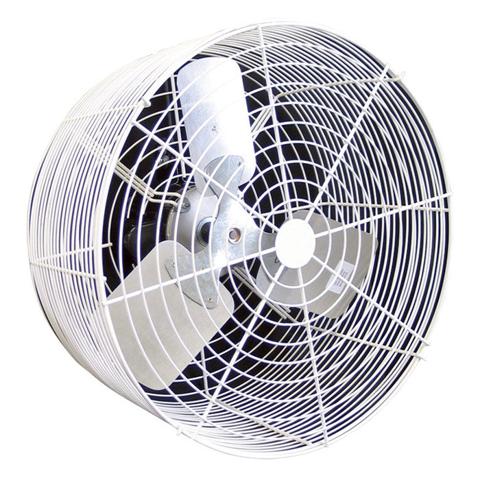 Industrial fan with a white frame and black blades on a white background