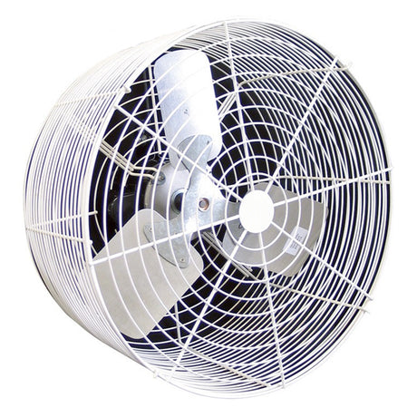 Industrial fan with a white frame and black blades on a white background