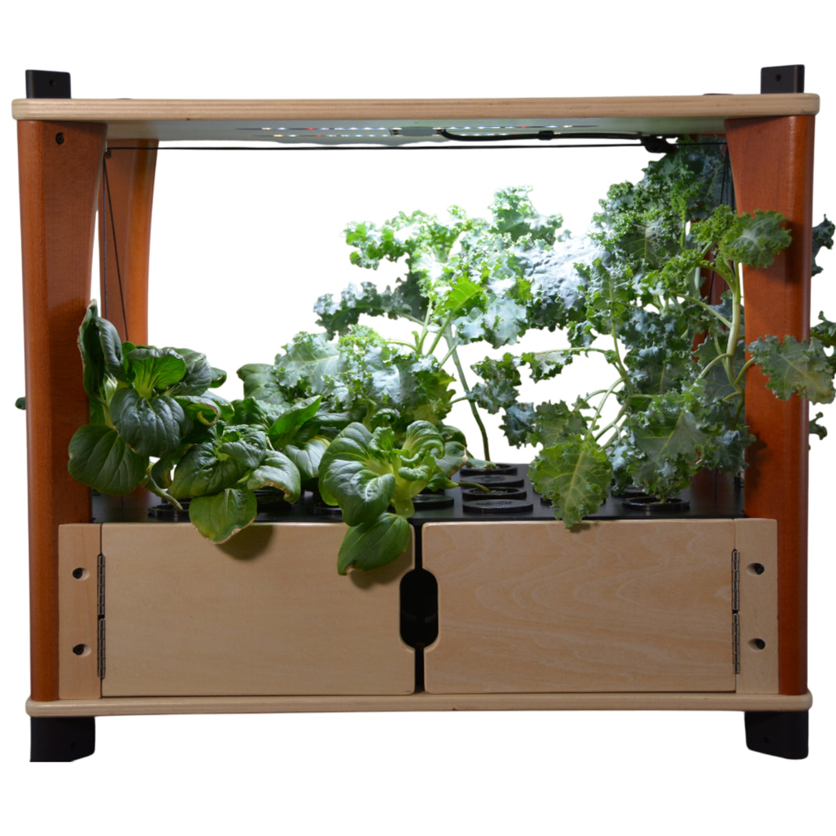 Aquager Hydroponic Home Farm