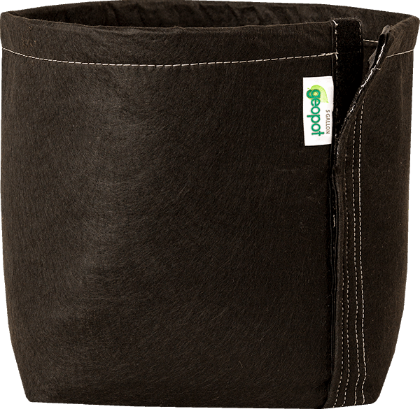GeoPot Velcro Transplanter Grow Bags - Black